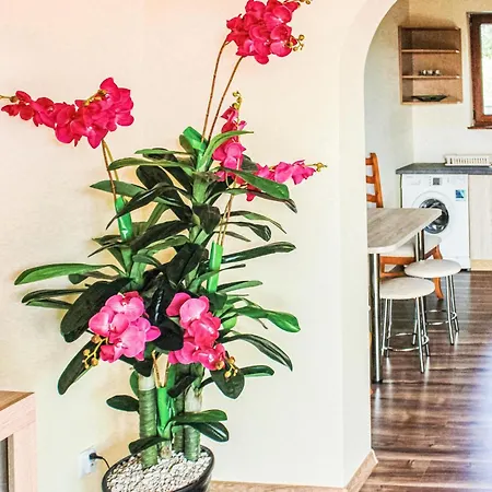 Gorgeous In With Wifi *