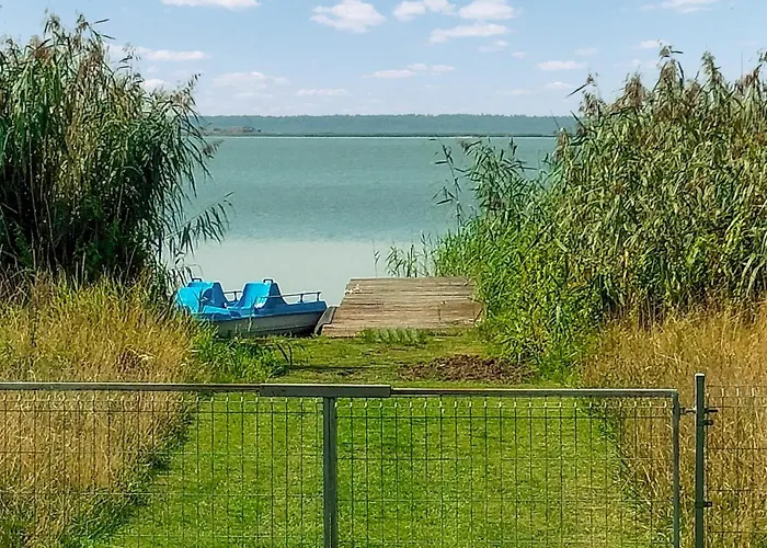 Gorgeous In With Wifi نوفي فاربنو