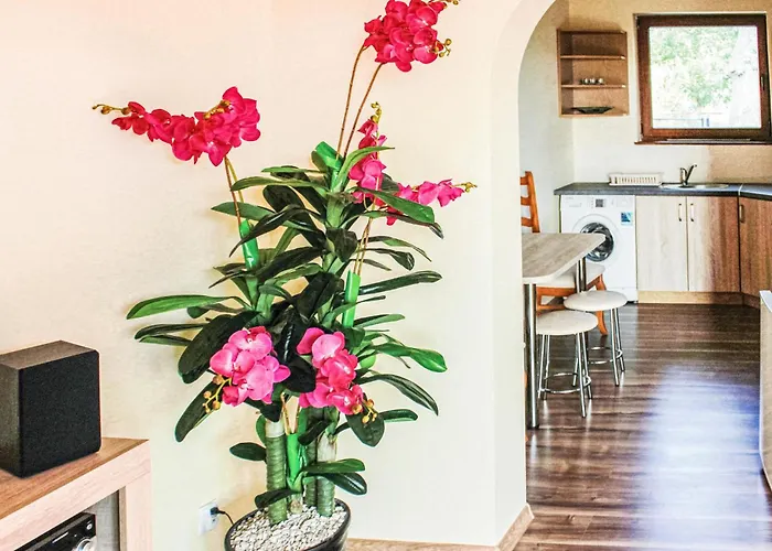 Gorgeous In With Wifi *